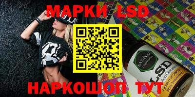 гидропоника Сланцы