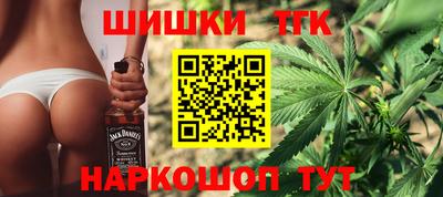 гидропоника Сланцы