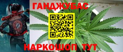 гидропоника Сланцы