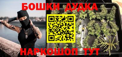 гидропоника Сланцы