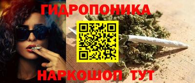 гидропоника Сланцы
