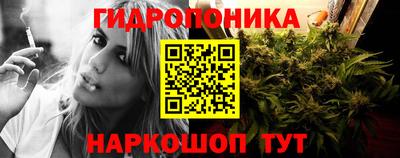 гидропоника Сланцы