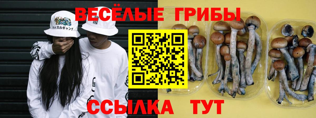 Рославль  Псилоцибиновые грибы GOLDEN TEACHER  Вход с VPN 